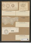 Auliscus sculptus (W. Sm.) Ralfs (de-Toni-Nr.: Genus 171, Species 4357) Zeichnungen Sammlung Grunow Nr. 7920 (NHMW-BOT-W0377195)